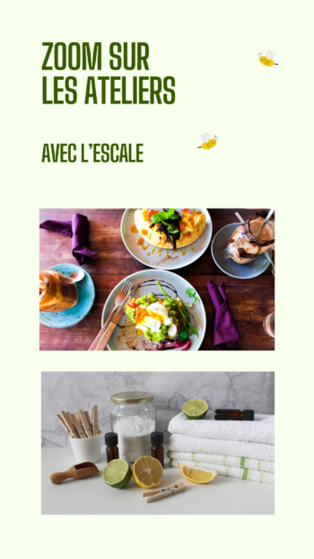 zoom ateliers escale