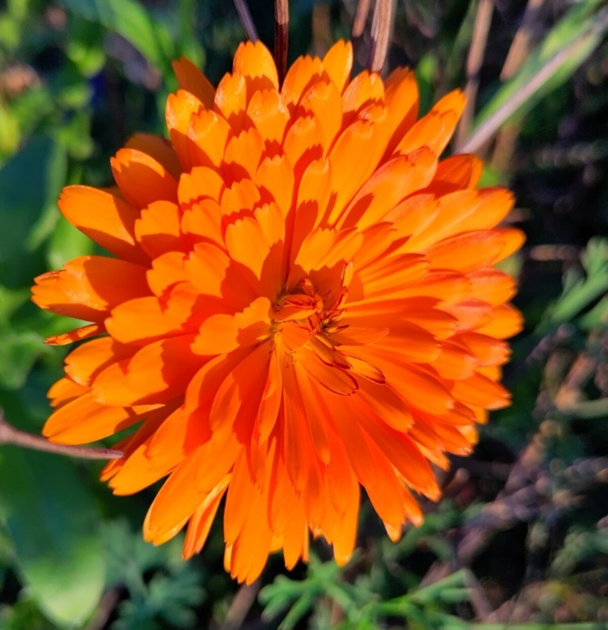 09