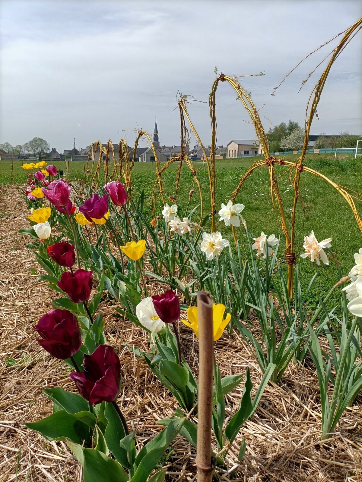 bénévolat jardin partagé 1