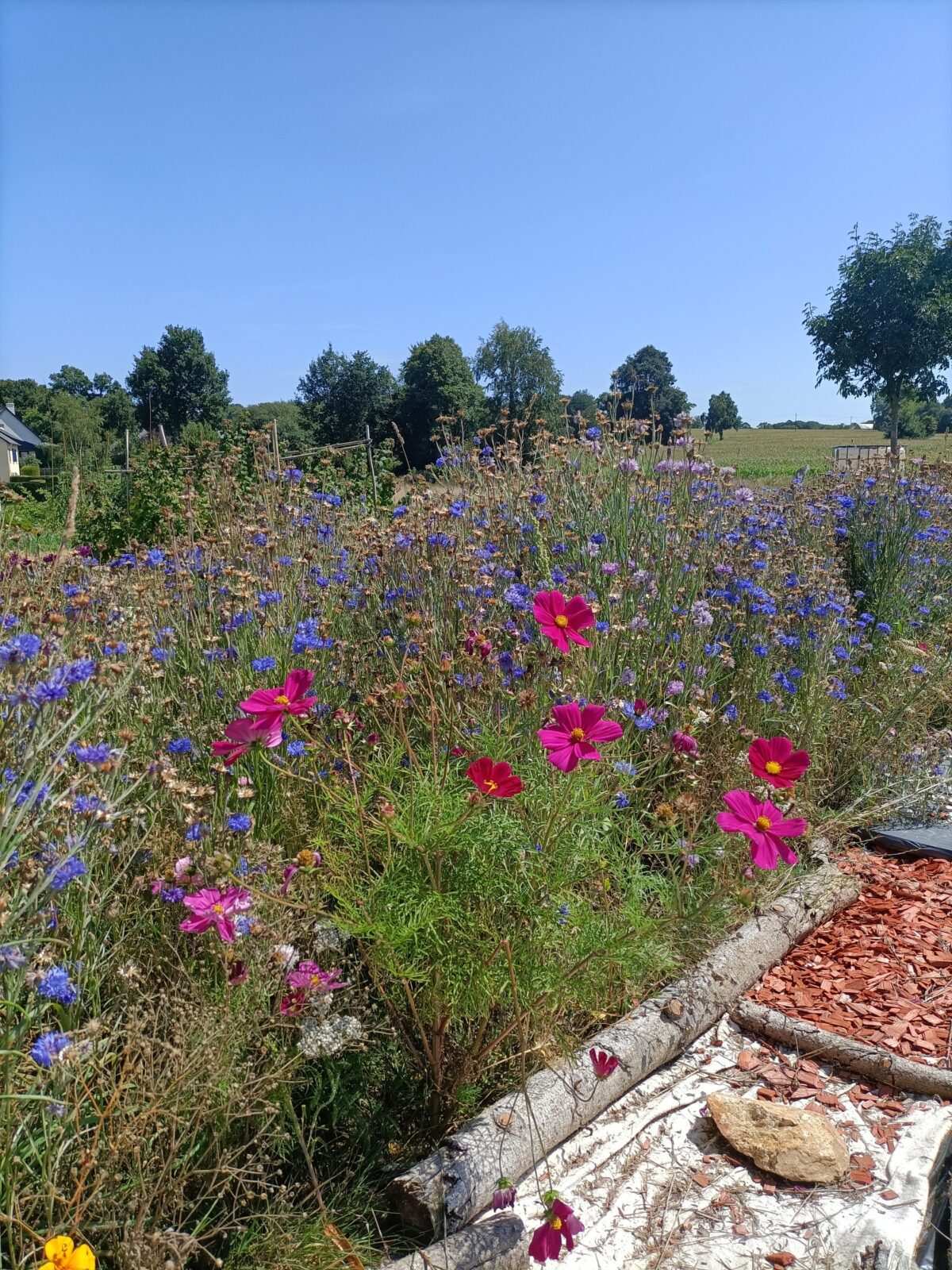bénévolat jardin partagé 3